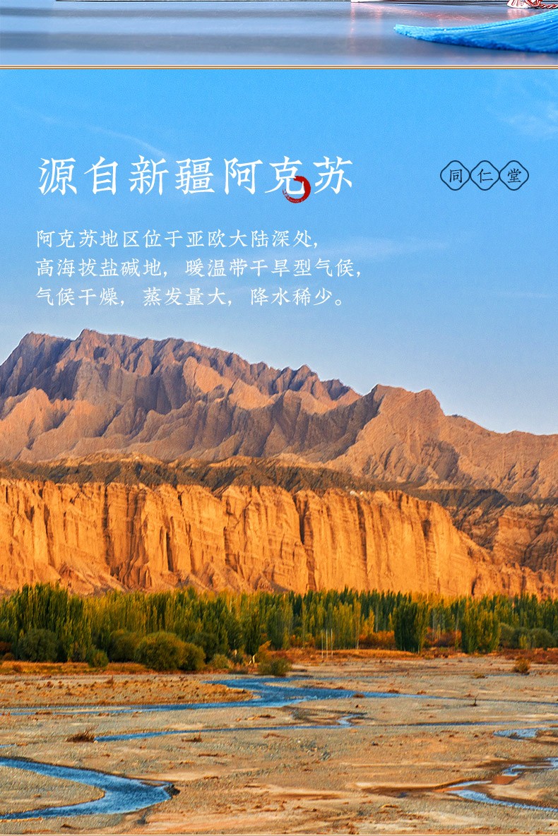 同仁堂 罗布麻叶茶 100g/瓶 2