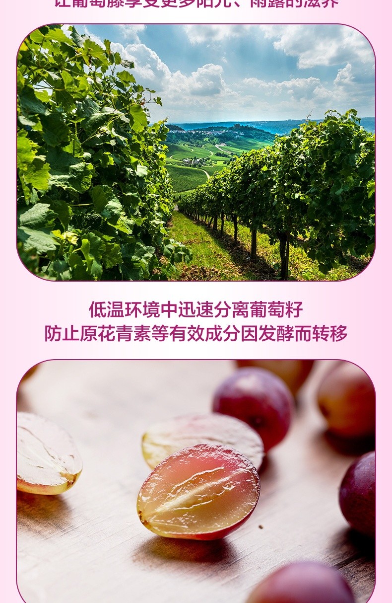 汤臣倍健 葡萄籽维生素C加E片 410mg/片*60片/瓶8