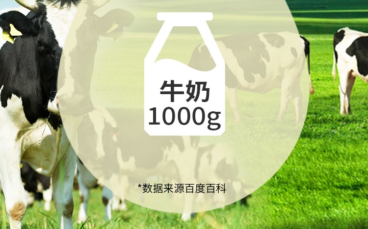 同仁堂 蛋白质粉 10g*30袋/盒8