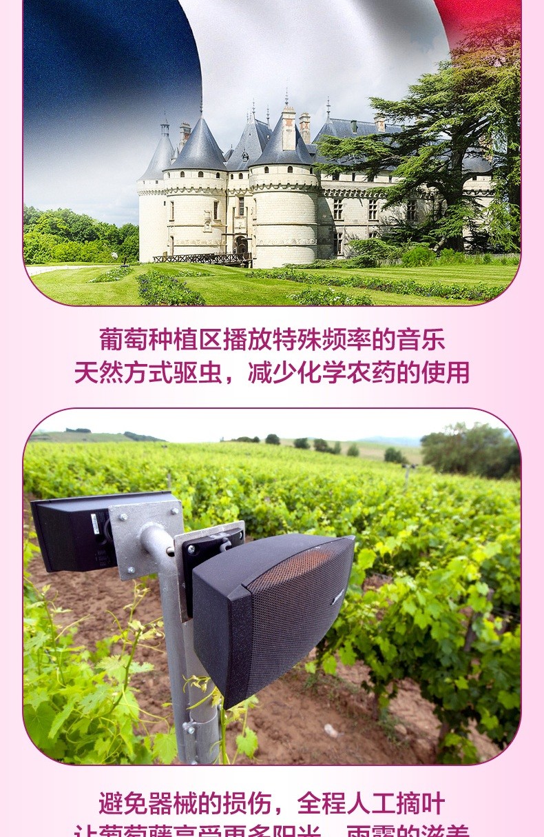 汤臣倍健 葡萄籽维生素C加E片 410mg/片*60片/瓶7