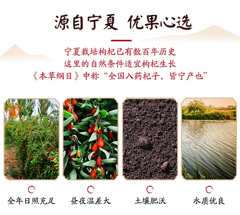 同仁堂 西洋参礼盒切片60g*2+枸杞子80g 10